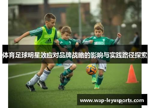 体育足球明星效应对品牌战略的影响与实践路径探索 体育足球明星效应对品牌战略的影响与实践路径探索