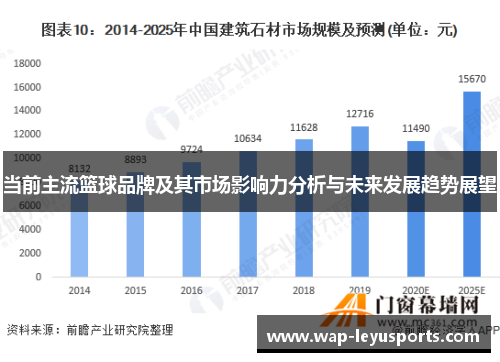 当前主流篮球品牌及其市场影响力分析与未来发展趋势展望