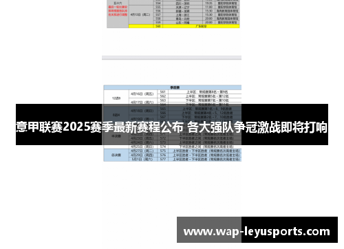 意甲联赛2025赛季最新赛程公布 各大强队争冠激战即将打响