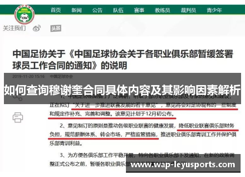 如何查询穆谢奎合同具体内容及其影响因素解析