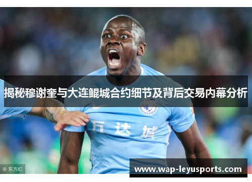 揭秘穆谢奎与大连鲲城合约细节及背后交易内幕分析