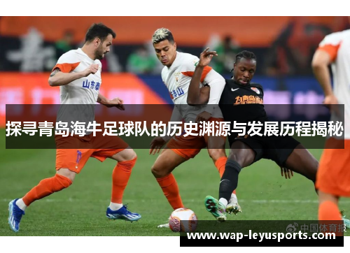 探寻青岛海牛足球队的历史渊源与发展历程揭秘 探寻青岛海牛足球队的历史渊源与发展历程揭秘