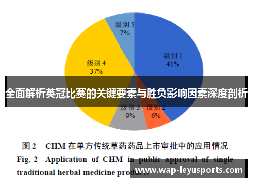全面解析英冠比赛的关键要素与胜负影响因素深度剖析